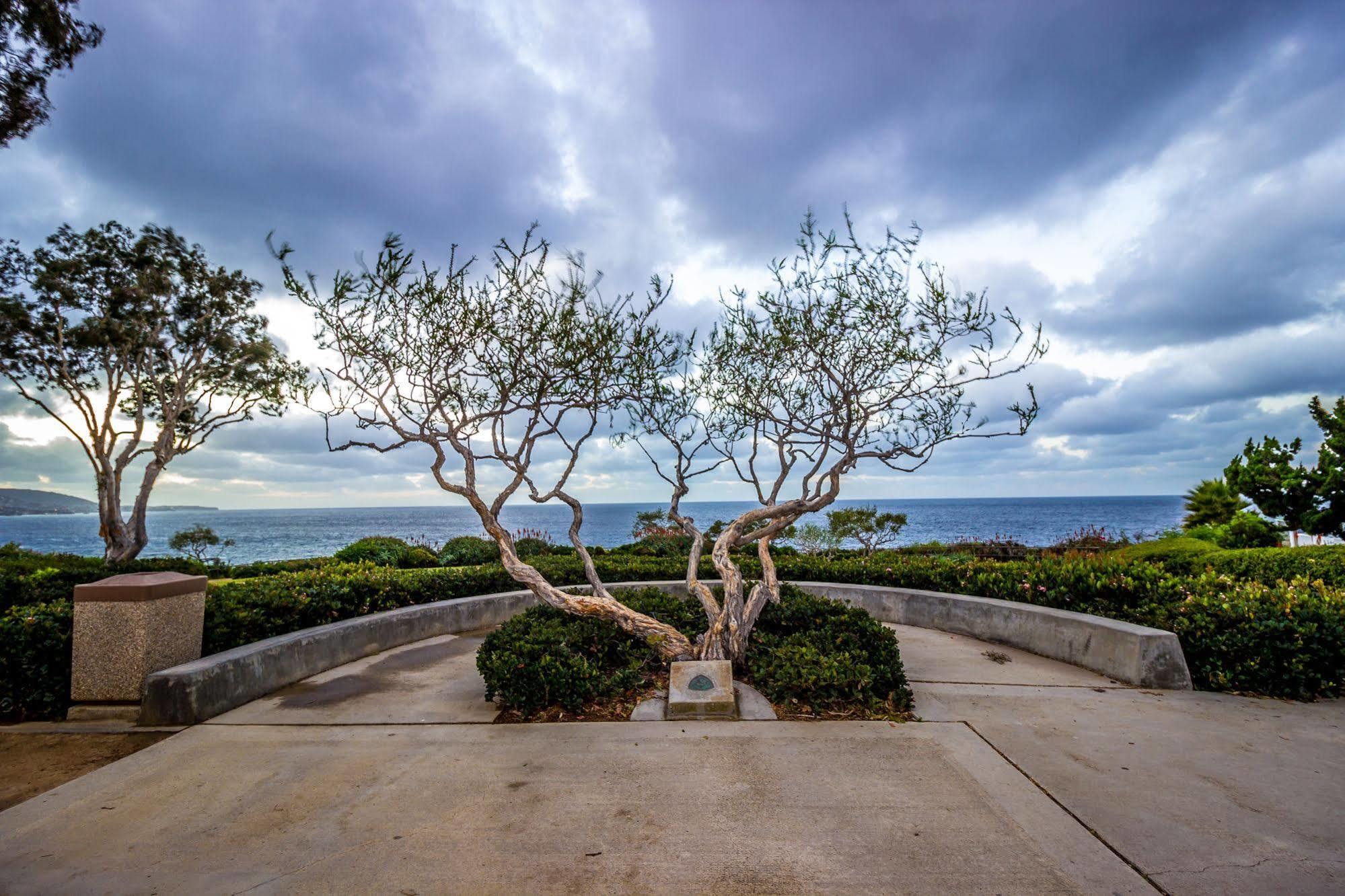 Art Hotel Laguna Beach Exteriér fotografie